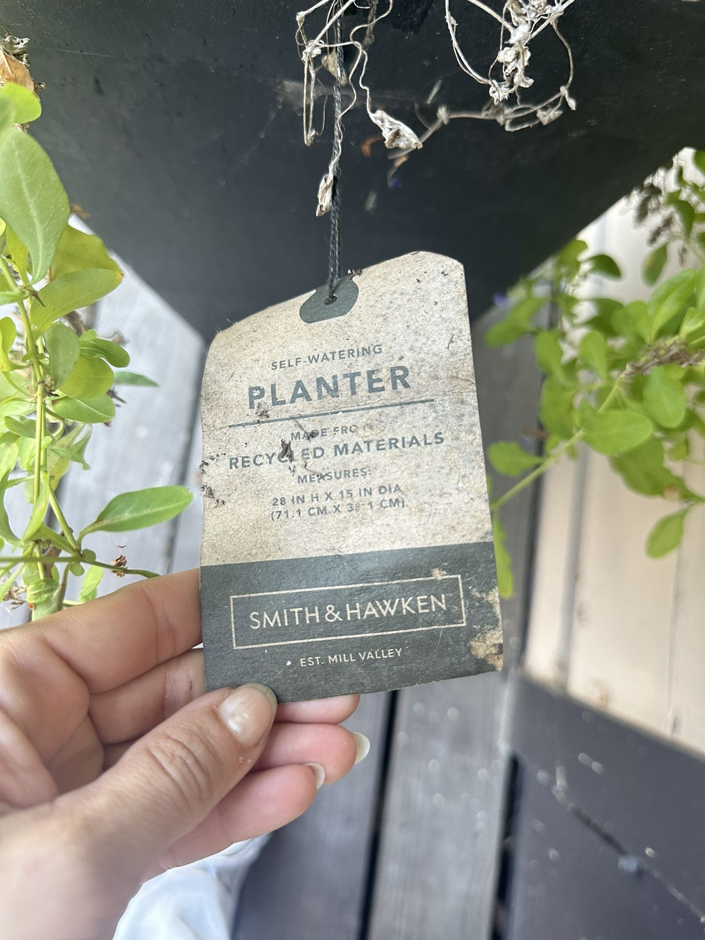 6 Tall Black Self Watering planters Smith & Hawken With Plants