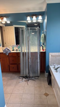 Shower door