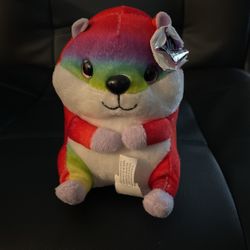 Rainbow 🌈 Belly Buddie