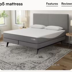 Sleep Number P5 Bed (California King)