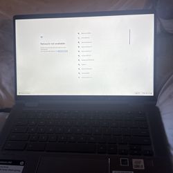 Laptop / computer 