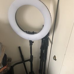 Ring Light, Phone Stand, Curl Bar