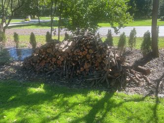 Free Firewood