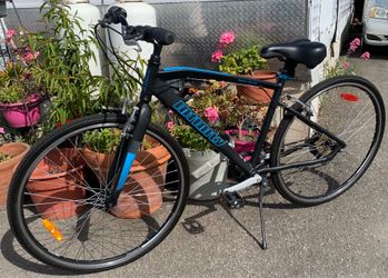 Hybrid Bike