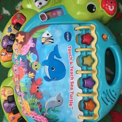 $5 Touch And Teach Sea Turtle