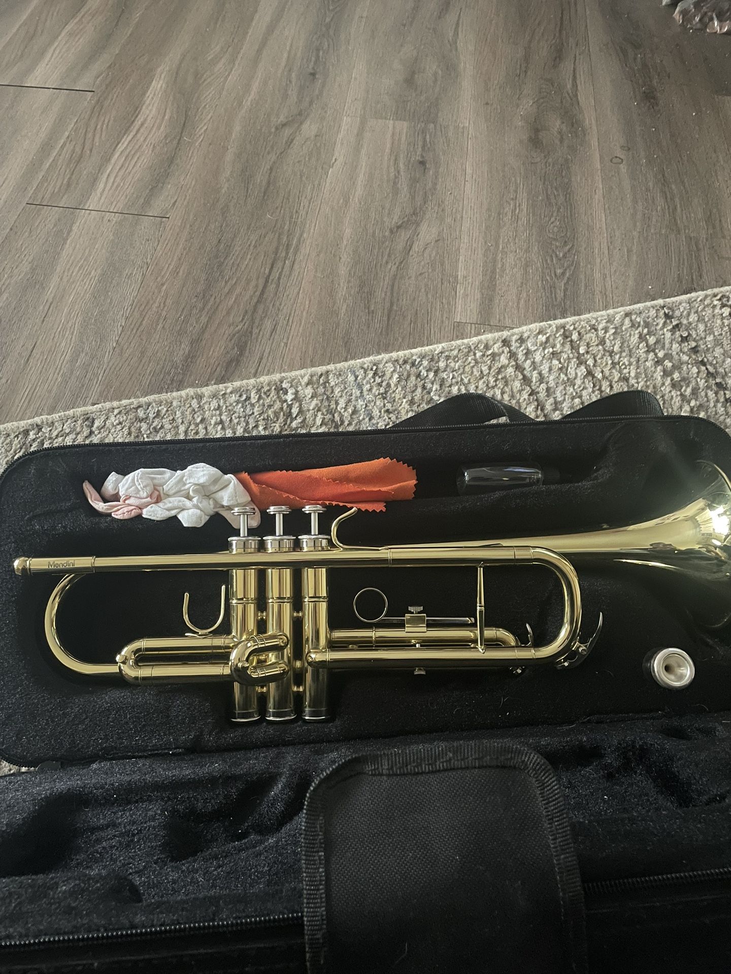 Gold Trumpet And Case