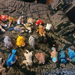 1995 Beanie Babies Sealed For Years