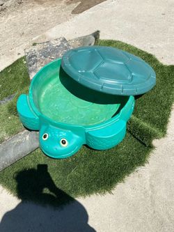 Little times sand turtle