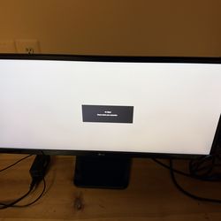 LG Monitor (29UM67-P )