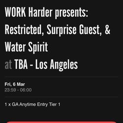 RESTRICTED AFTERS TICKET (1 TICKET)