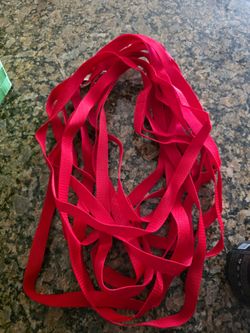 Extra long leash