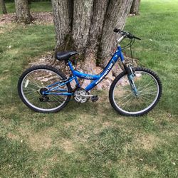 26” Mountain Bike (step Over)