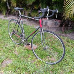 Vintage 1980's Miyata 10 Speed Bike