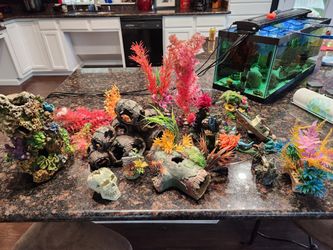 Aquarium Decor