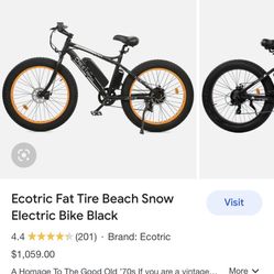 ECO Trixs Electric Bike 