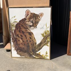 Two  Picture Frames Of Tiger Cubs 