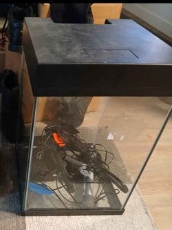 10 Gal Tall Aqaurium