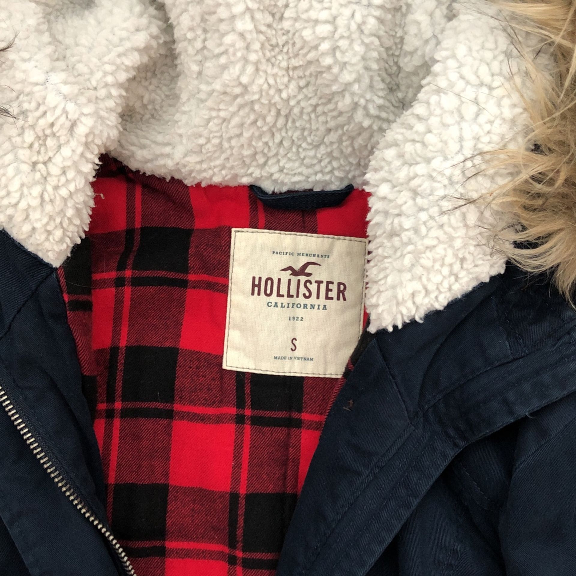 Hollister Coat