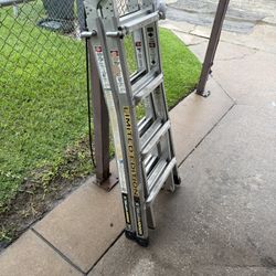 Limited Edition Gorilla Ladder