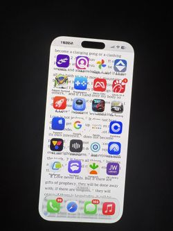 iPhone 16 Pro Max