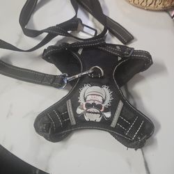 Dog Harness With Leash Fully Padded Strong 