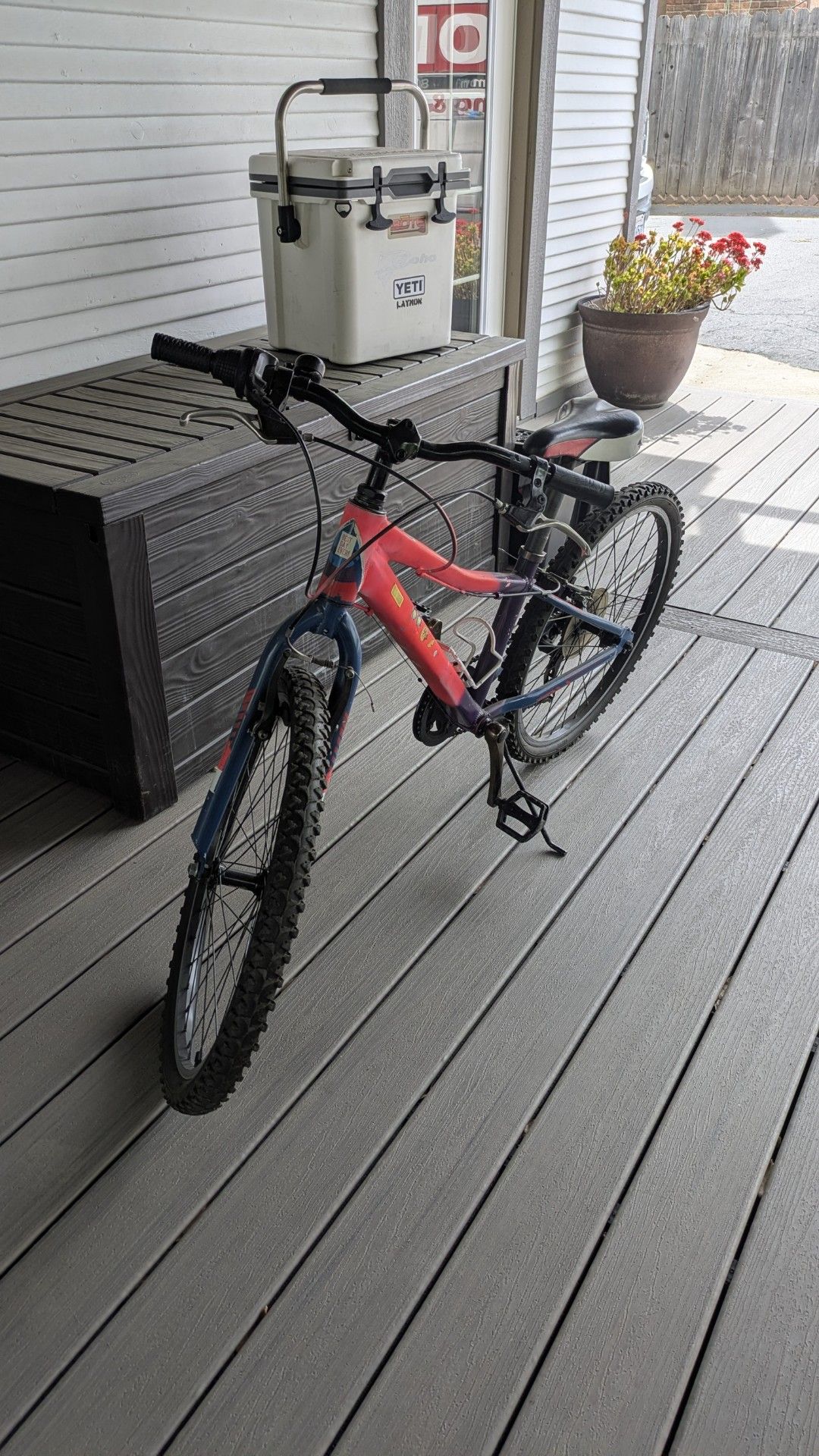 Girls 20" bike