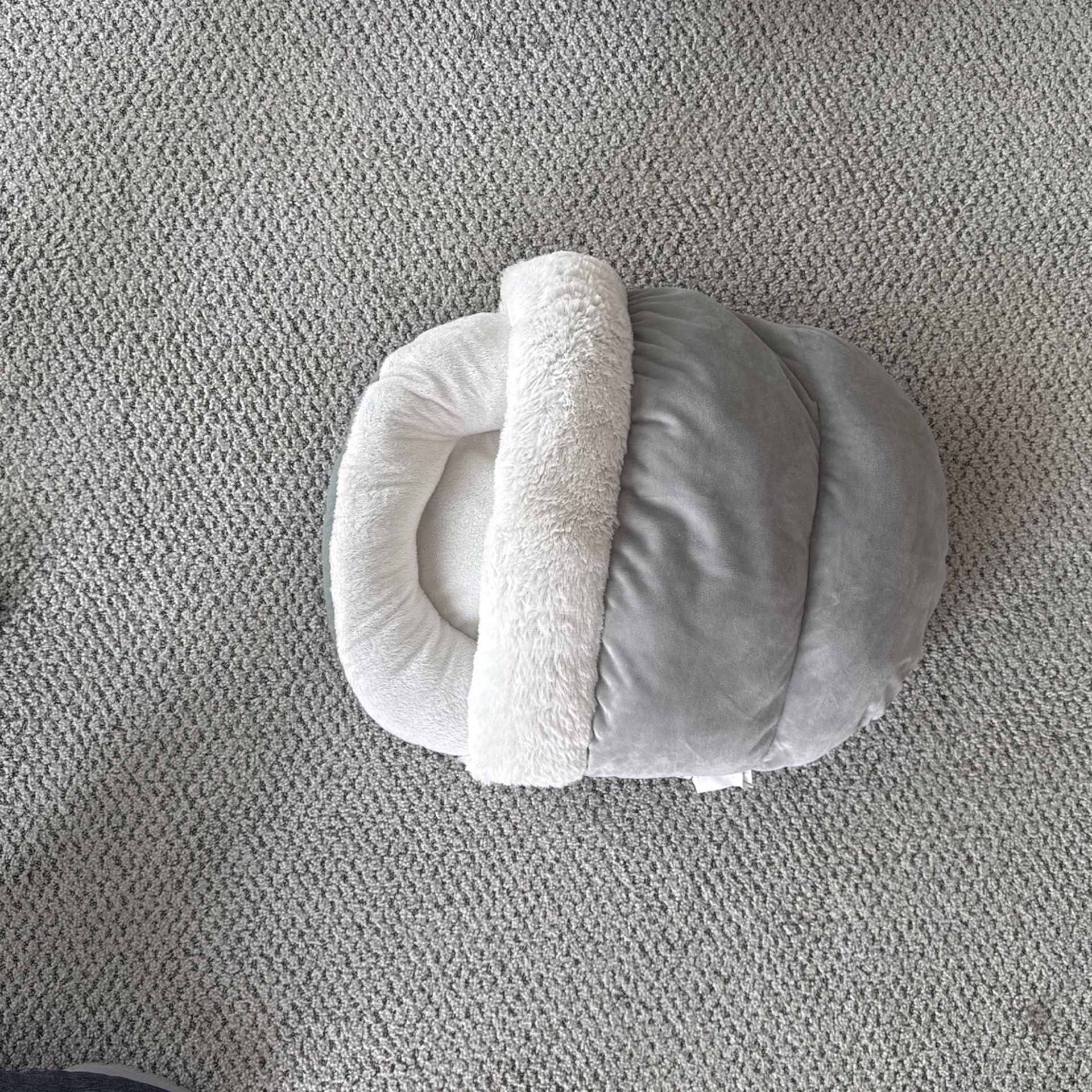Small Dog Bed