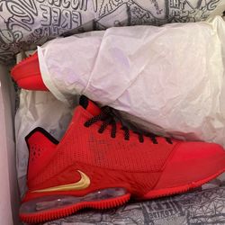 Red Nike LeBron 11.5