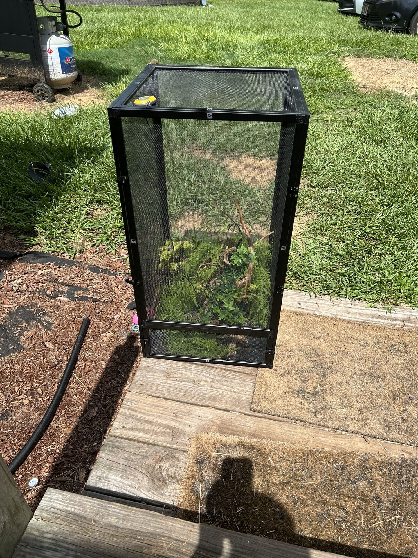Chameleon Cage