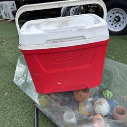 Medium Igloo Cooler