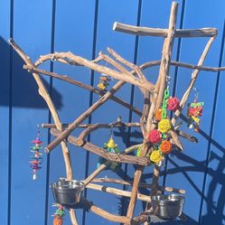 Parrot Perch Tree.., African Grey / Amazon Sized And Kinda Funky Crazzie Design … Looks Great In The House ! 👍🏼