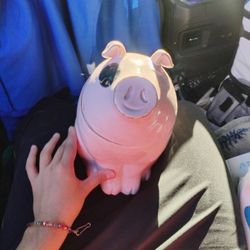 Decoration Pig/ Storage Container 