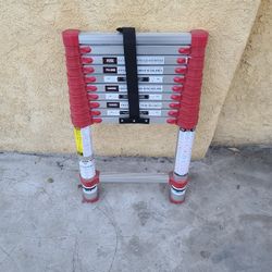 Xtend+climb Ladder