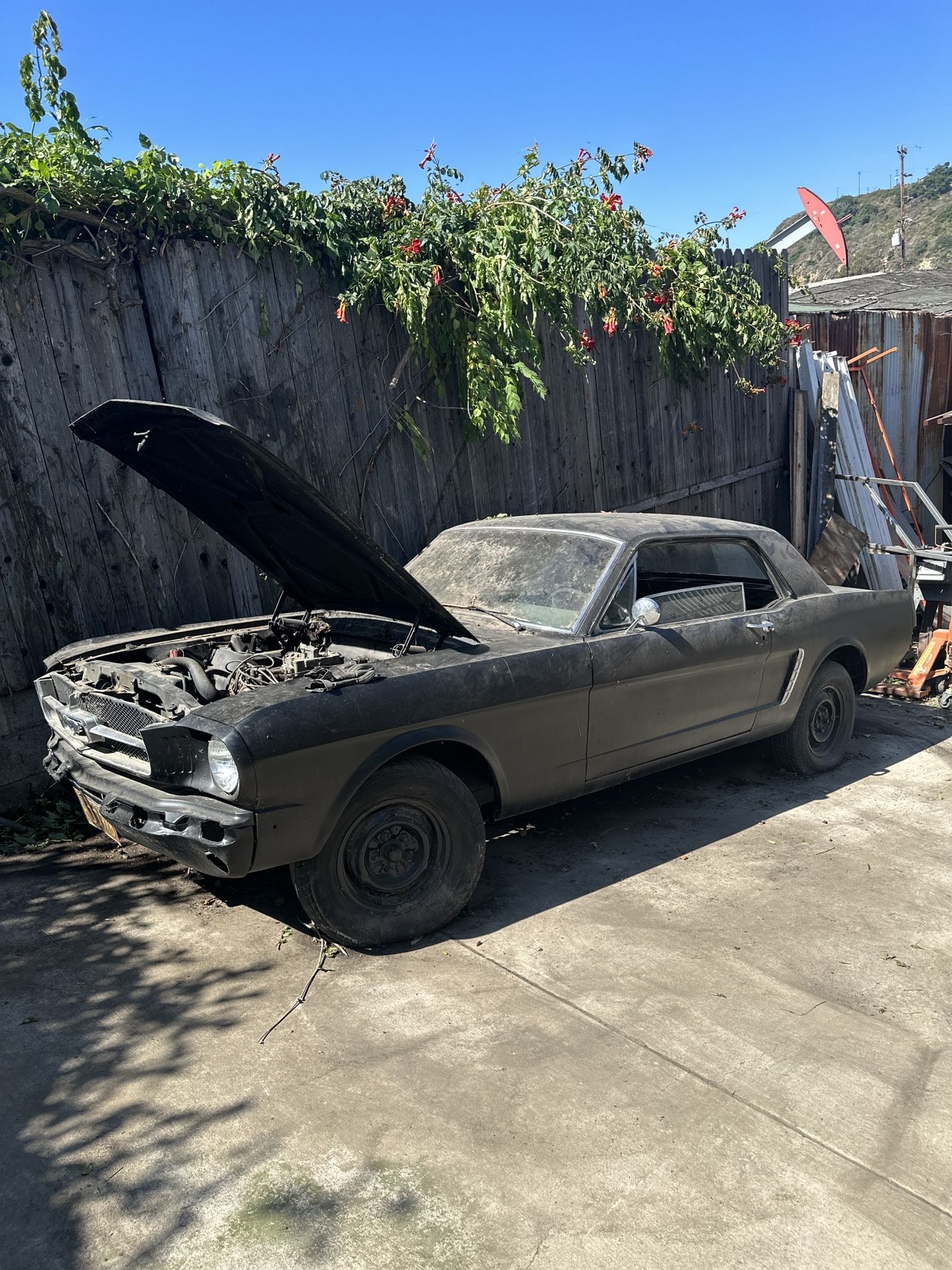 1964 Ford Mustang