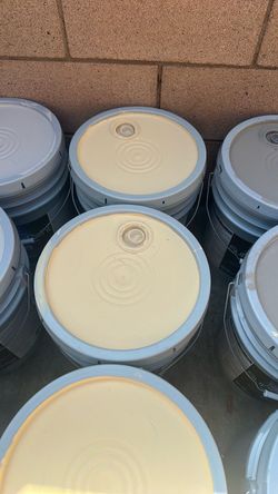 Paint new