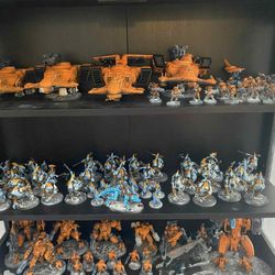 Fully Painted Tau Army