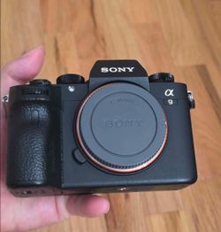Sony a9 Mirrorless Camera for sports