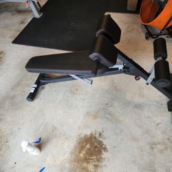 'Work Out Bench