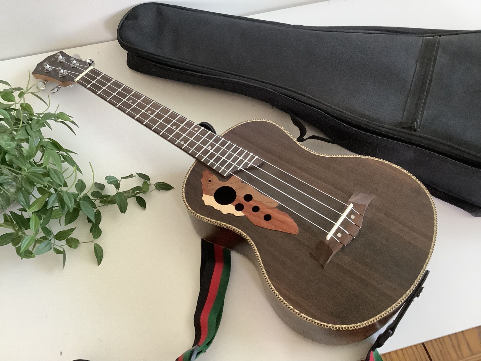 Paisen Concert Ukulele with Strap and Case – Unique Design Long 26”