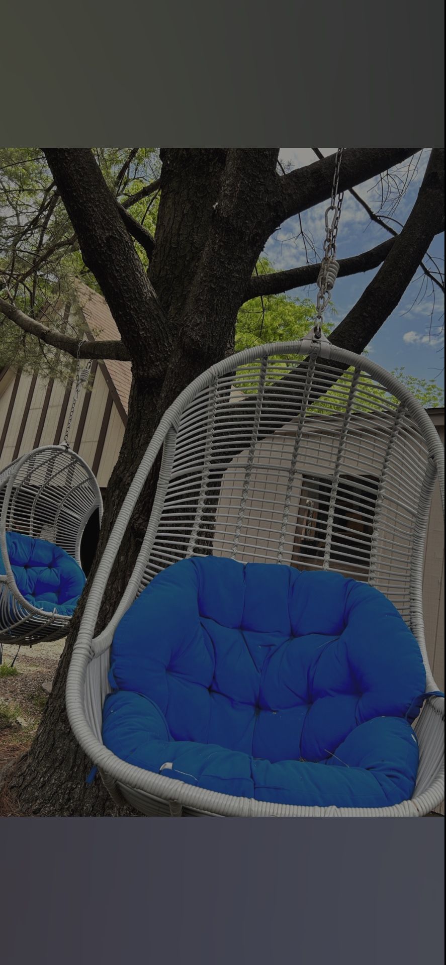 HANGING EGG CHAIRS