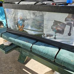 5 Gallon Fish Tank 