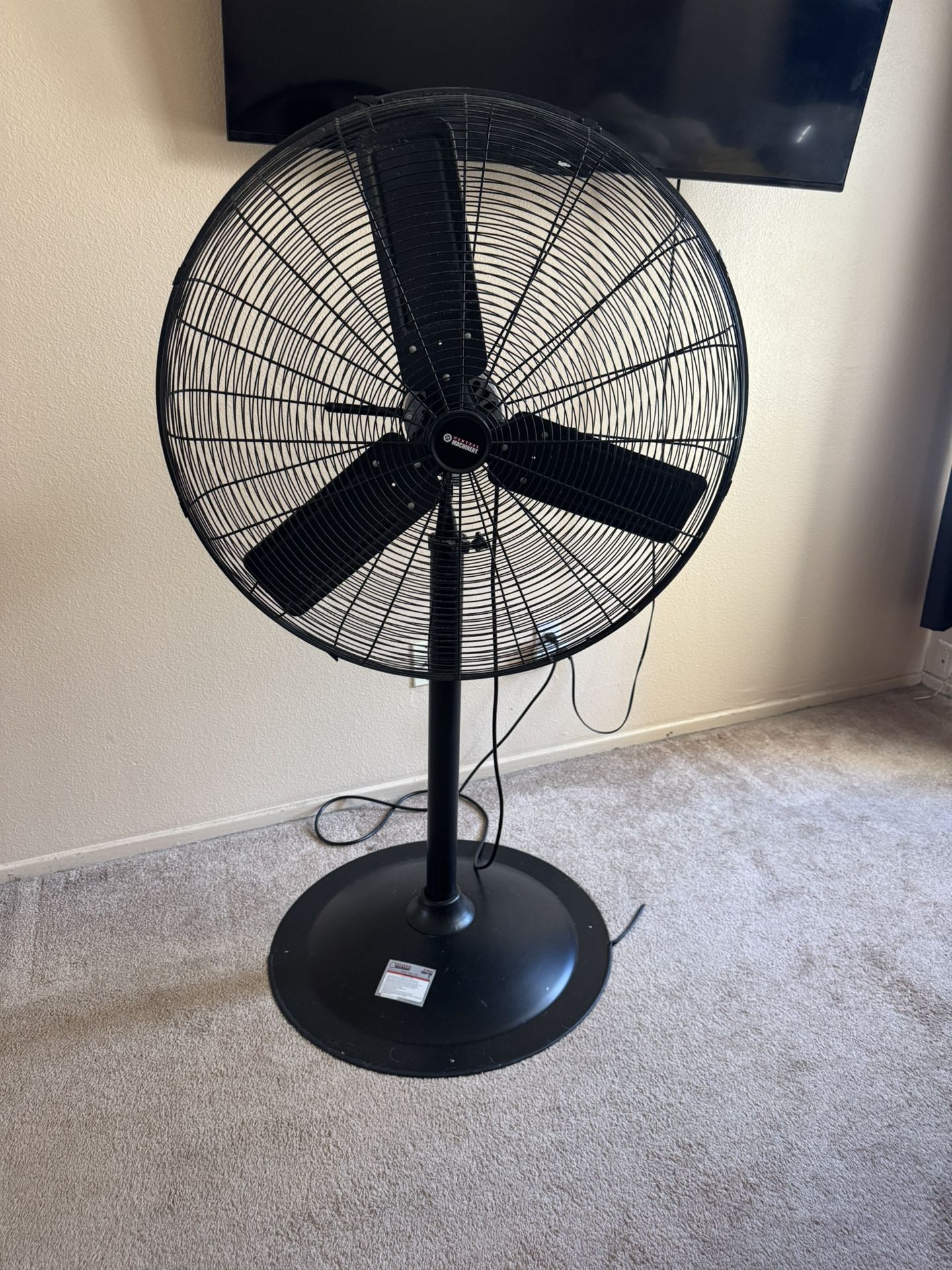 Shop Fan- Moving- Everything Must Go!