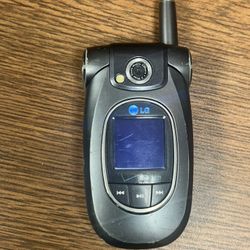 LG VX6100 Verizon Flip Phone with Camera