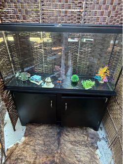60 Gallon Tank And Accessories. $144