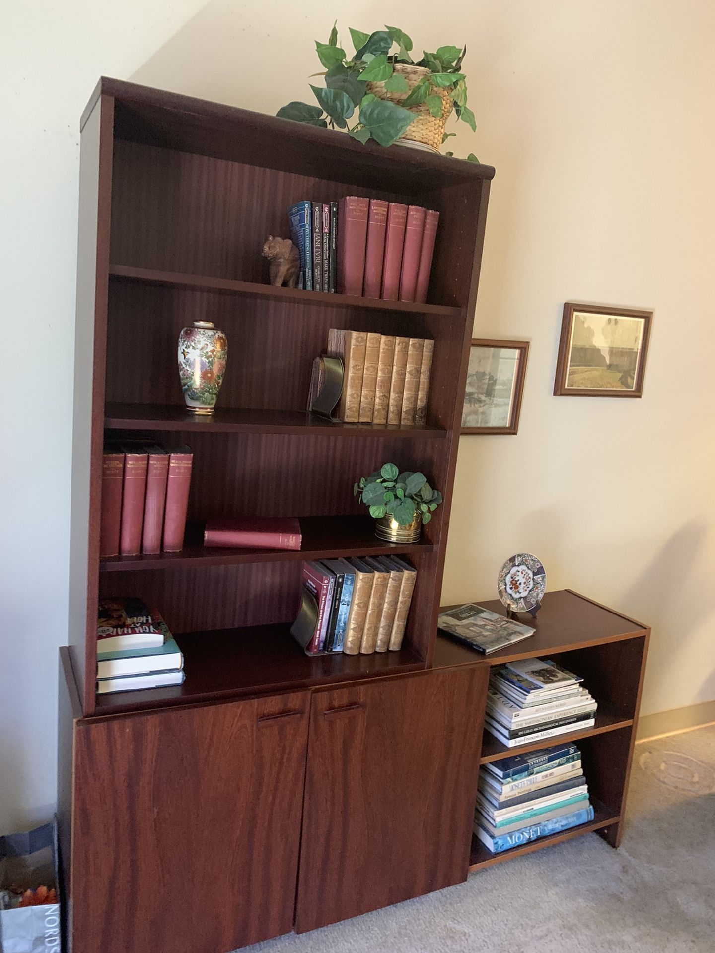 Book Shelf Made Real Wood