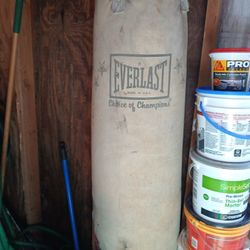 Professional Punching Bag