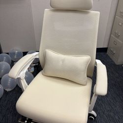 Viral Ergonomic Office Chair