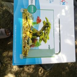 5 Gallon Glass Tank 