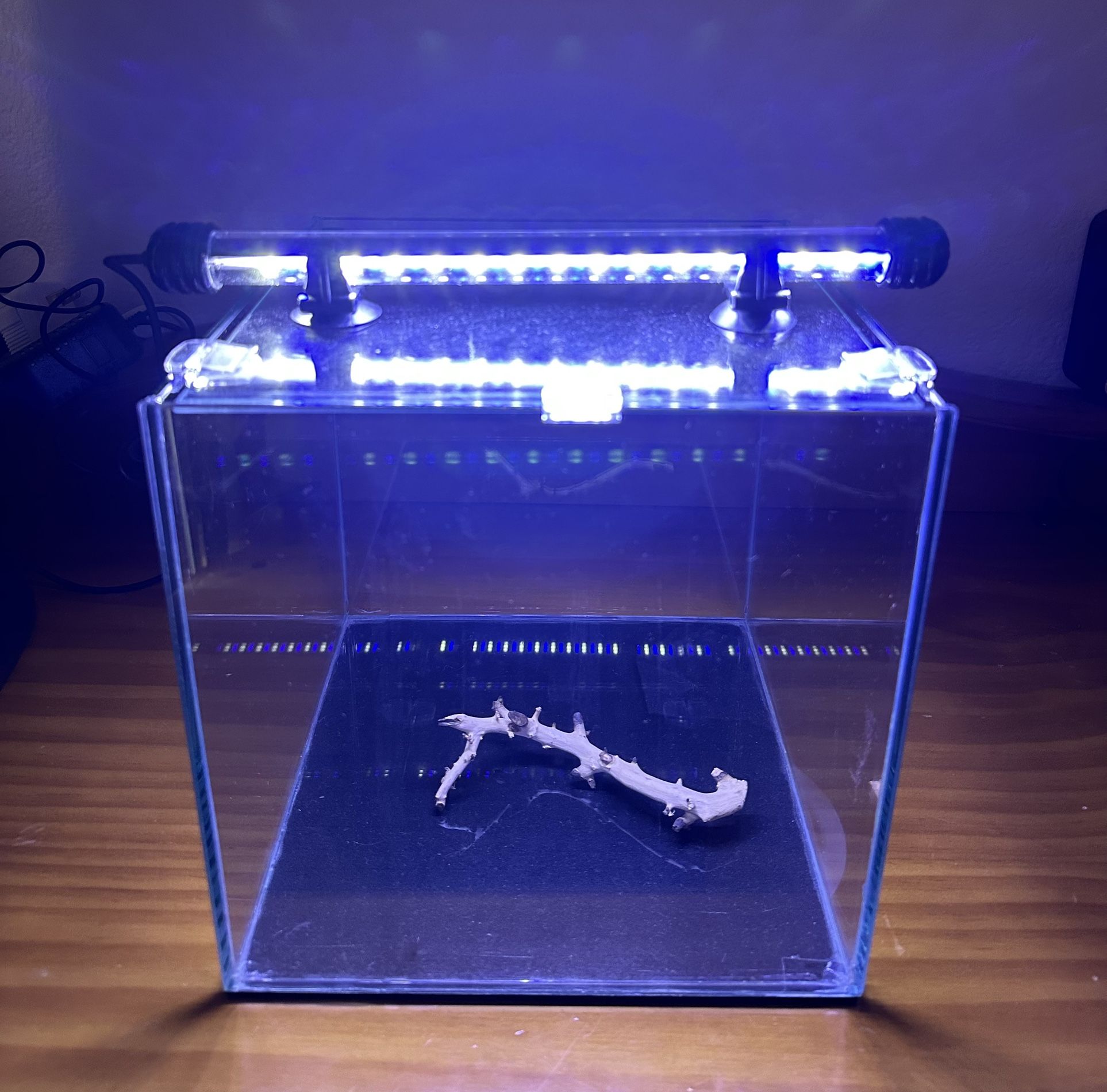 Fish Tank