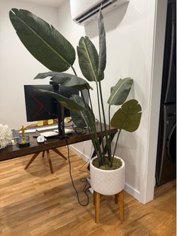 Fake House Plant